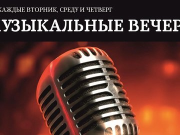 Музыкальный вечер Музыкальный вечер